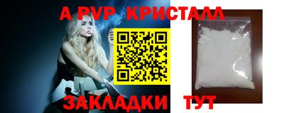 стаф Камышлов