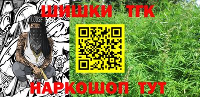 стаф Камышлов