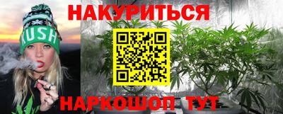 стаф Камышлов
