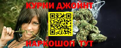 стаф Камышлов