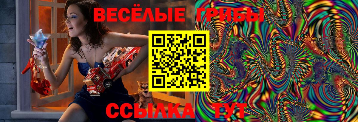 Галлюциногенные грибы Psilocybine cubensis Троицк